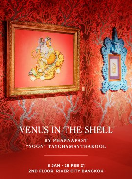 Venus in the Shell