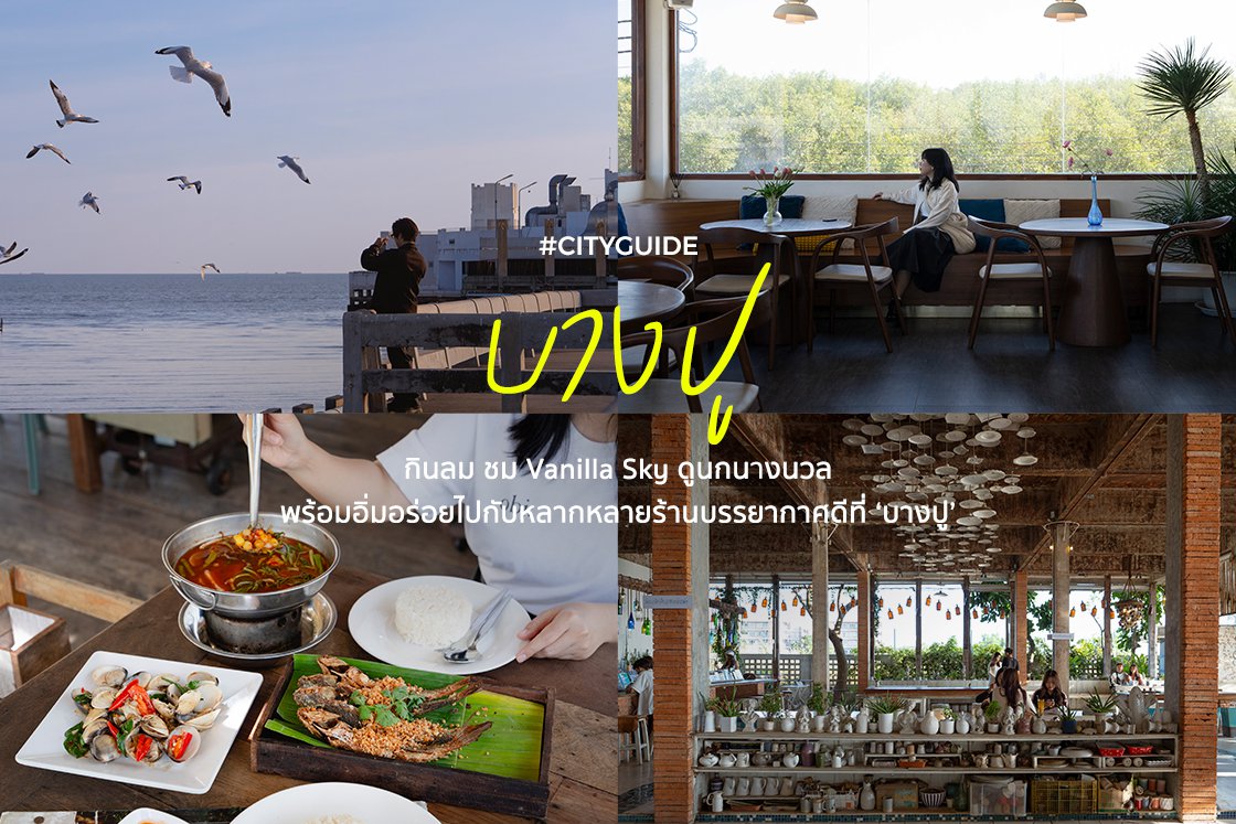 กินลม ชม Vanilla Sky ดูนกนางนวล พร้อมอิ่มอร่อยไปกับหลากหลายร้านบรรยากาศดีที่ ‘บางปู’